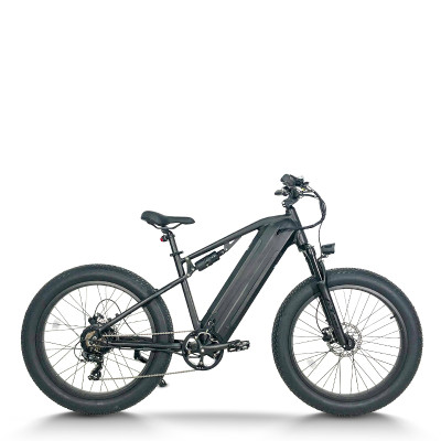 Fat Tire Electric Bike Waterproof & Dustproof 500W-750W Motor 2*48V15.6Ah Battery OEM/ODM