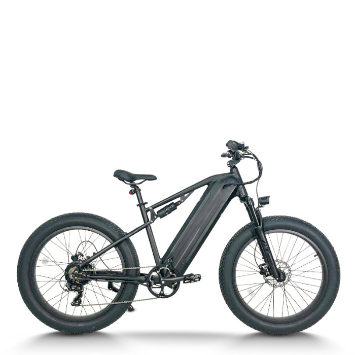 Fat Tire Electric Bike Waterproof & Dustproof 500W-750W Motor 2*48V15.6Ah Battery OEM/ODM
