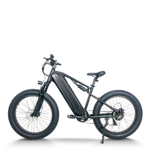 Fat Tire Electric Bike Waterproof & Dustproof 500W-750W Motor 2*48V15.6Ah Battery OEM/ODM