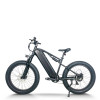 Fat Tire Electric Bike Waterproof & Dustproof 500W-750W Motor 2*48V15.6Ah Battery OEM/ODM