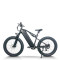 Fat Tire Electric Bike Waterproof & Dustproof 500W-750W Motor 2*48V15.6Ah Battery OEM/ODM