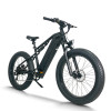 Fat Tire Electric Bike Waterproof & Dustproof 500W-750W Motor 2*48V15.6Ah Battery OEM/ODM