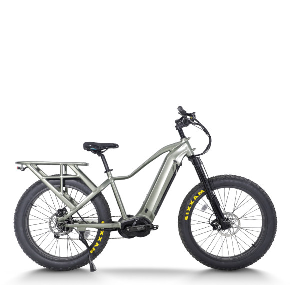 Explorer Fat Tire E-Bike Hidden Battery Integrated Rack Front Suspension 750W-1000W Off-Road OEM/ODM