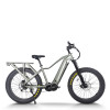 Explorer Fat Tire E-Bike Hidden Battery Integrated Rack Front Suspension 750W-1000W Off-Road OEM/ODM