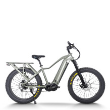 Explorer Fat Tire E-Bike Hidden Battery Integrated Rack Front Suspension 750W-1000W Off-Road OEM/ODM