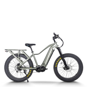 Explorer Fat Tire E-Bike Hidden Battery Integrated Rack Front Suspension 750W-1000W Off-Road OEM/ODM