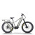 Explorer Fat Tire E-Bike Hidden Battery Integrated Rack Front Suspension 750W-1000W Off-Road OEM/ODM