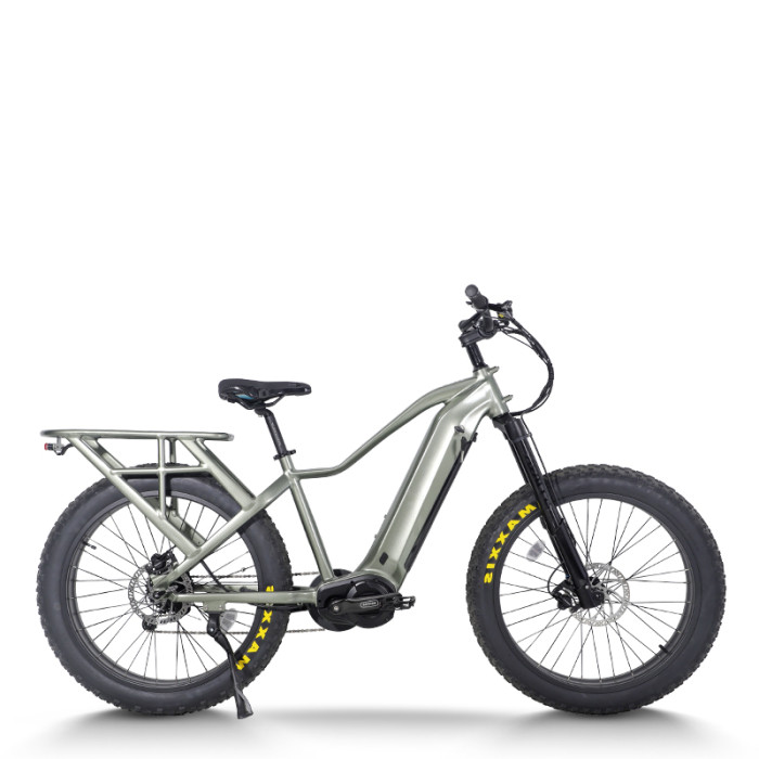 Explorer Fat Tire E-Bike Hidden Battery Integrated Rack Front Suspension 750W-1000W Off-Road OEM/ODM