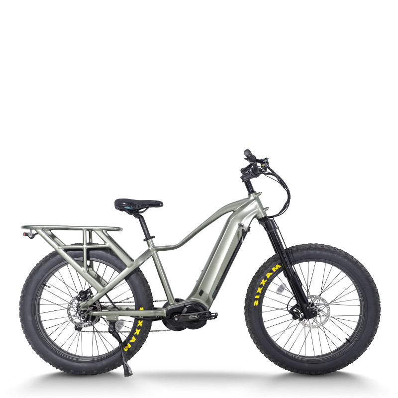 Explorer Fat Tire E-Bike Hidden Battery Integrated Rack Front Suspension 750W-1000W Off-Road OEM/ODM
