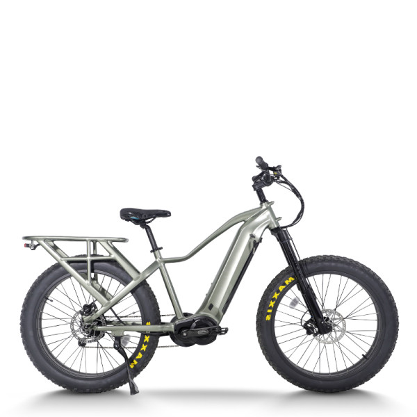 Explorer Fat Tire E-Bike Hidden Battery Integrated Rack Front Suspension 750W-1000W Off-Road OEM/ODM