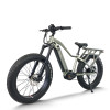 Explorer Fat Tire E-Bike Hidden Battery Integrated Rack Front Suspension 750W-1000W Off-Road OEM/ODM