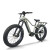 Explorer Fat Tire E-Bike Hidden Battery Integrated Rack Front Suspension 750W-1000W Off-Road OEM/ODM