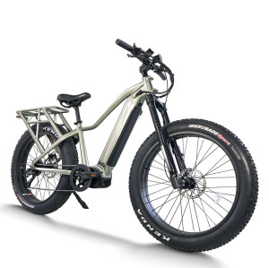 Explorer Fat Tire E-Bike Hidden Battery Integrated Rack Front Suspension 750W-1000W Off-Road OEM/ODM