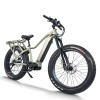 Explorer Fat Tire E-Bike Hidden Battery Integrated Rack Front Suspension 750W-1000W Off-Road OEM/ODM