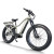 Explorer Fat Tire E-Bike Hidden Battery Integrated Rack Front Suspension 750W-1000W Off-Road OEM/ODM