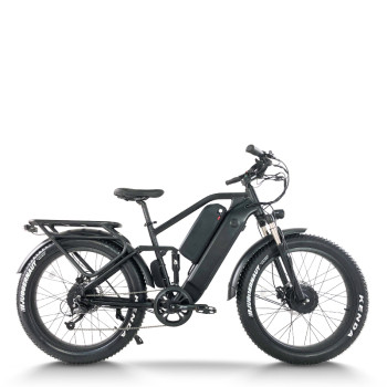 Dual Motor Fat Tire E-Bike 2x750W Motors Dual Batteries Full Suspension Off-Road Adventure OEM/ODM