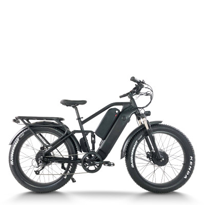 Dual Motor Fat Tire E-Bike 2x750W Motors Dual Batteries Full Suspension Off-Road Adventure OEM/ODM