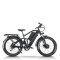 Dual Motor Fat Tire E-Bike 2x750W Motors Dual Batteries Full Suspension Off-Road Adventure OEM/ODM