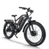 Dual Motor Fat Tire E-Bike 2x750W Motors Dual Batteries Full Suspension Off-Road Adventure OEM/ODM