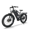 Dual Motor Fat Tire E-Bike 2x750W Motors Dual Batteries Full Suspension Off-Road Adventure OEM/ODM