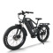 Dual Motor Fat Tire E-Bike 2x750W Motors Dual Batteries Full Suspension Off-Road Adventure OEM/ODM