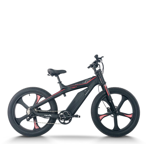 Mountain Fat Tire E-Bike Carbon Fiber Frame 500W-750W Motor Hydraulic Discs 9-Speed OEM/ODM