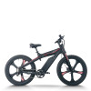 Mountain Fat Tire E-Bike Carbon Fiber Frame 500W-750W Motor Hydraulic Discs 9-Speed OEM/ODM