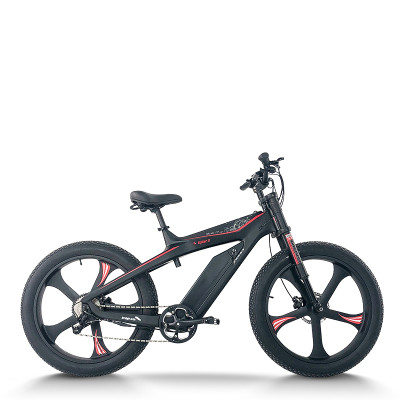 Mountain Fat Tire E-Bike Carbon Fiber Frame 500W-750W Motor Hydraulic Discs 9-Speed OEM/ODM
