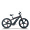 Mountain Fat Tire E-Bike Carbon Fiber Frame 500W-750W Motor Hydraulic Discs 9-Speed OEM/ODM