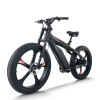 Mountain Fat Tire E-Bike Carbon Fiber Frame 500W-750W Motor Hydraulic Discs 9-Speed OEM/ODM