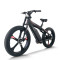 Mountain Fat Tire E-Bike Carbon Fiber Frame 500W-750W Motor Hydraulic Discs 9-Speed OEM/ODM
