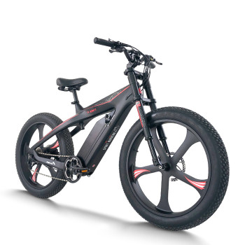 Fat Tire mountain e bike | 750W mountain electric bike CEM-AEB55