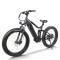 Trailblazer Fat Tire E-Bike Mid-Drive Bafang Full Suspension Hidden Battery 750W Motor OEM/ODM