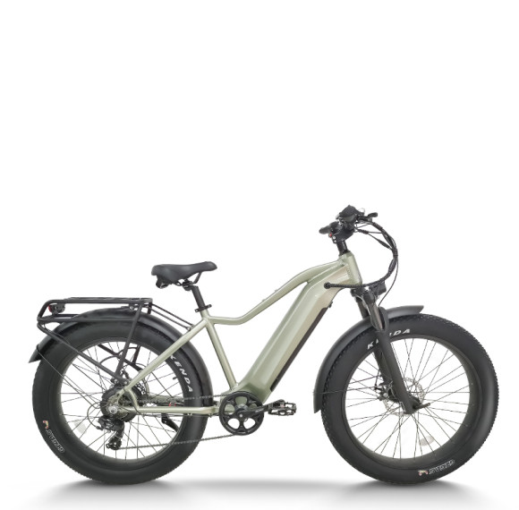 All-Terrain Fat Tire E-Bike Hardtail 500W-1000W Motor Wide Tires Outdoor Adventure OEM/ODM