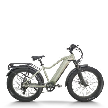 All-Terrain Fat Tire E-Bike Hardtail 500W-1000W Motor Wide Tires Outdoor Adventure OEM/ODM