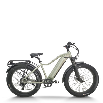 All-Terrain Fat Tire E-Bike Hardtail 500W-1000W Motor Wide Tires Outdoor Adventure OEM/ODM