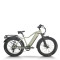 All-Terrain Fat Tire E-Bike Hardtail 500W-1000W Motor Wide Tires Outdoor Adventure OEM/ODM