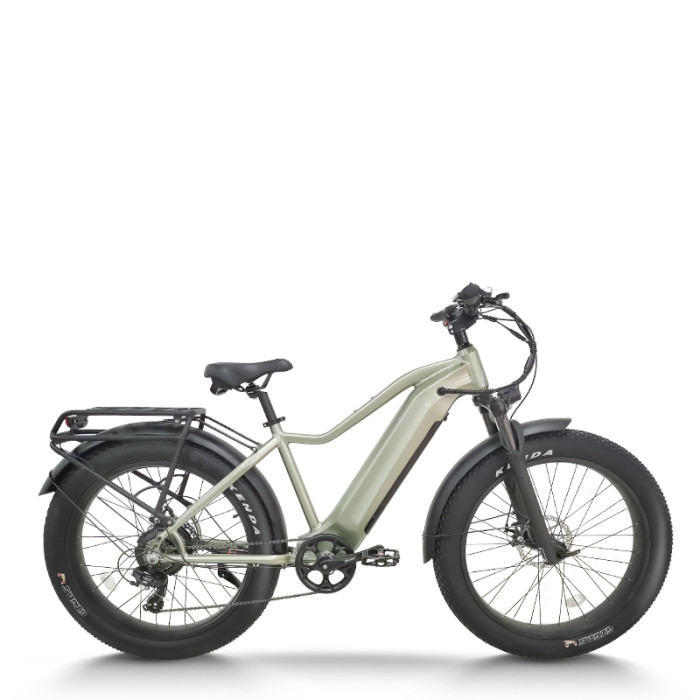 All-Terrain Fat Tire E-Bike Hardtail 500W-1000W Motor Wide Tires Outdoor Adventure OEM/ODM