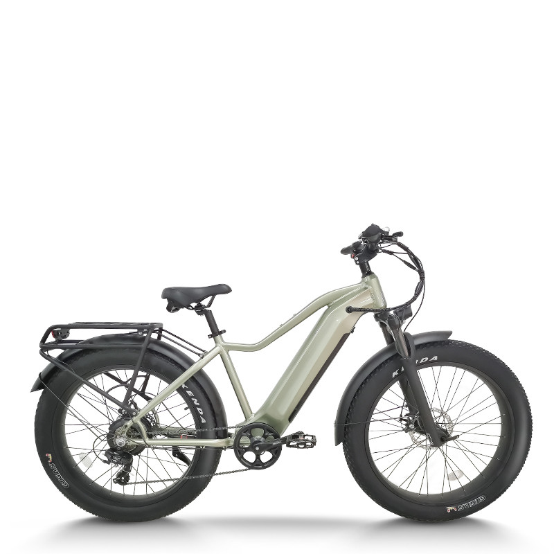 All-Terrain Fat Tire E-Bike Hardtail 500W-1000W Motor Wide Tires Outdoor Adventure OEM/ODM