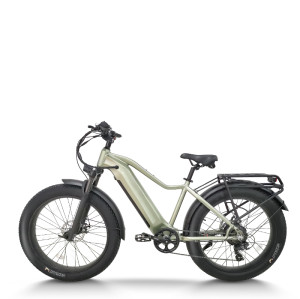 All-Terrain Fat Tire E-Bike Hardtail 500W-1000W Motor Wide Tires Outdoor Adventure OEM/ODM