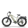 All-Terrain Fat Tire E-Bike Hardtail 500W-1000W Motor Wide Tires Outdoor Adventure OEM/ODM