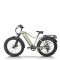 All-Terrain Fat Tire E-Bike Hardtail 500W-1000W Motor Wide Tires Outdoor Adventure OEM/ODM