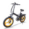 Urban Commuter E-Bike Folding Step-Thru All-in-One Wheel Removable Battery 350W Motor OEM/ODM
