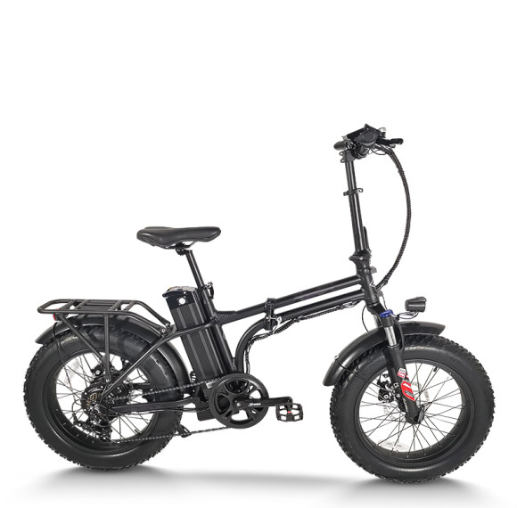 Foldable Fat Tire E-Bike Lightweight Hollow Frame 500W Motor Removable Battery Waterproof OEM/ODM