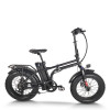 Foldable Fat Tire E-Bike Lightweight Hollow Frame 500W Motor Removable Battery Waterproof OEM/ODM