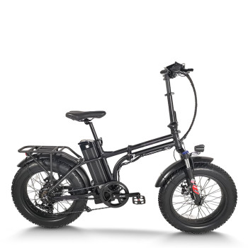 Foldable Fat Tire E-Bike Lightweight Hollow Frame 500W Motor Removable Battery Waterproof OEM/ODM
