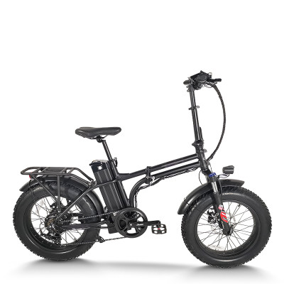 Foldable Fat Tire E-Bike Lightweight Hollow Frame 500W Motor Removable Battery Waterproof OEM/ODM