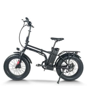 Foldable Fat Tire E-Bike Lightweight Hollow Frame 500W Motor Removable Battery Waterproof OEM/ODM