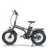 Foldable Fat Tire E-Bike Lightweight Hollow Frame 500W Motor Removable Battery Waterproof OEM/ODM