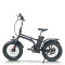 Foldable Fat Tire E-Bike Lightweight Hollow Frame 500W Motor Removable Battery Waterproof OEM/ODM